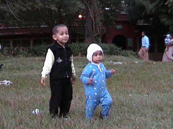 Click to see next picture