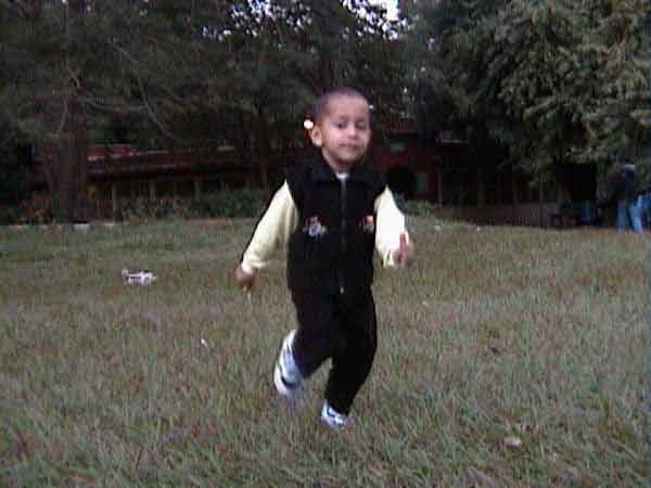 Click to see next picture