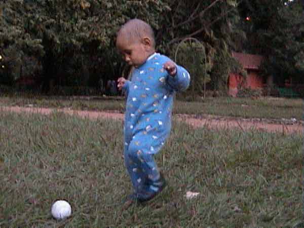 Click to see next picture