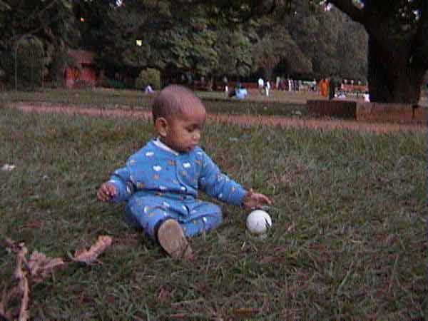 Click to see next picture